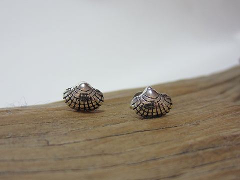 sterling silver clam shell studs 925 canterbury