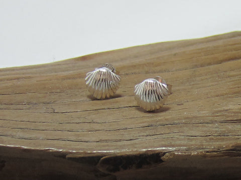 sterling silver scallop shell studs 925 Canterbury